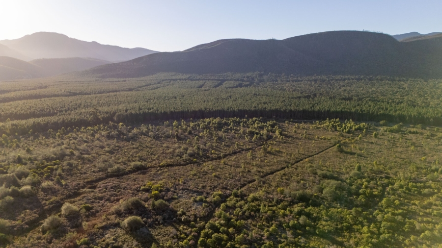 Bedroom Property for Sale in Natures Valley Western Cape
